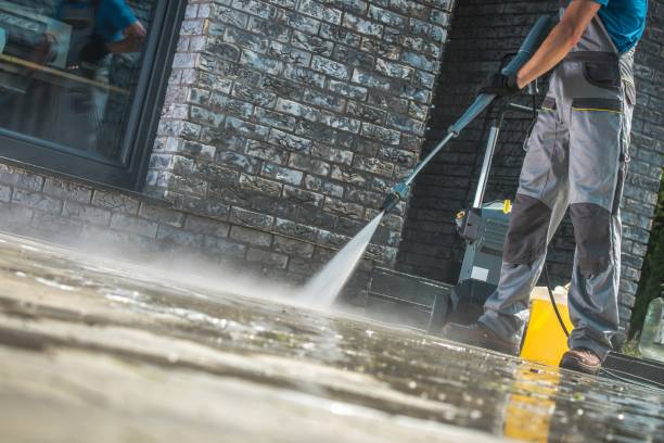 Best Warehouse Cleaning  in Badieville, LA
