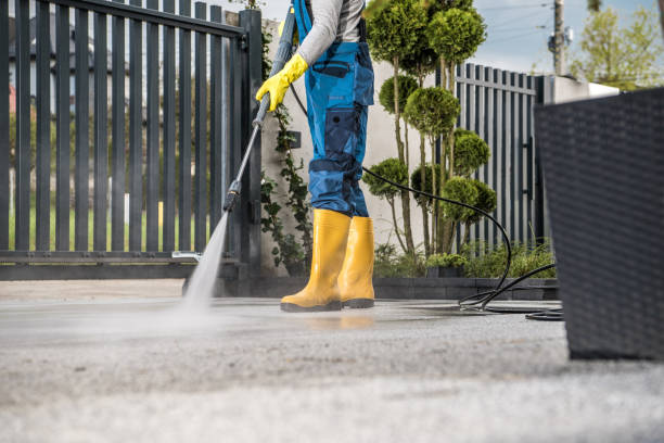 Best Soft Washing  in Badieville, LA
